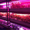 نمو النبات 1W SMD 3030740nm 745nm LED تنمو ضوء رقاقة